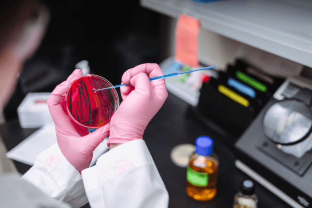 WSI research scientist